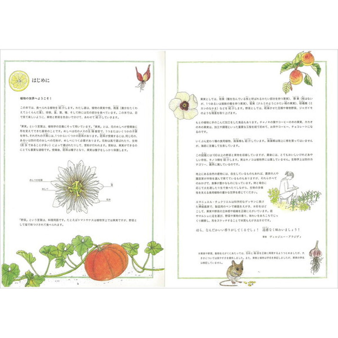 観察が楽しくなる美しいイラスト自然図鑑　野菜と果実編