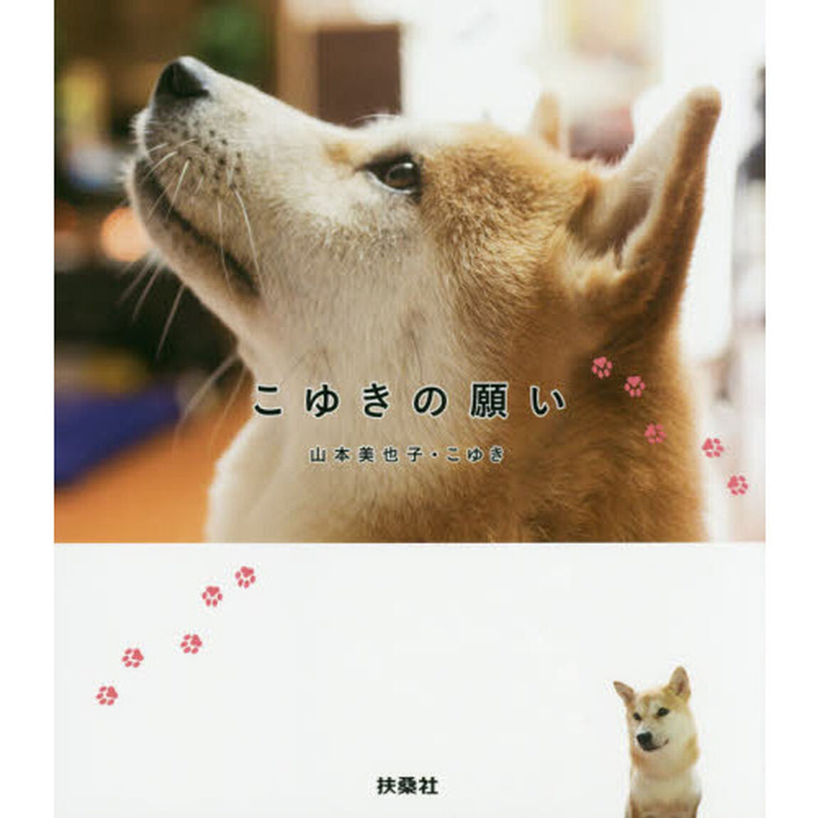 こゆきの願い　ＫＯＹＵＫＩ　ＰＨＯＴＯ　ＢＯＯＫ