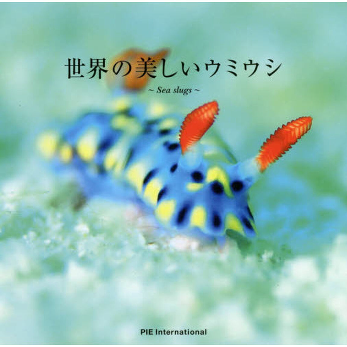 世界の美しいウミウシ　Ｓｅａ　ｓｌｕｇｓ
