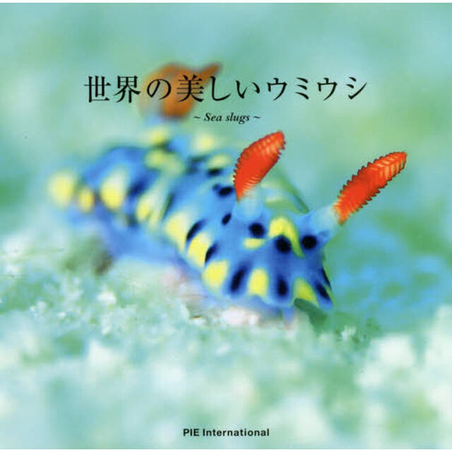 世界の美しいウミウシ　Ｓｅａ　ｓｌｕｇｓ