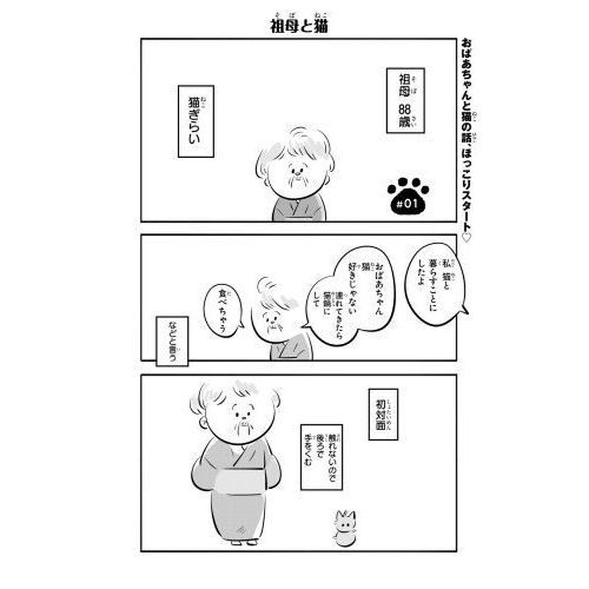 祖母と猫