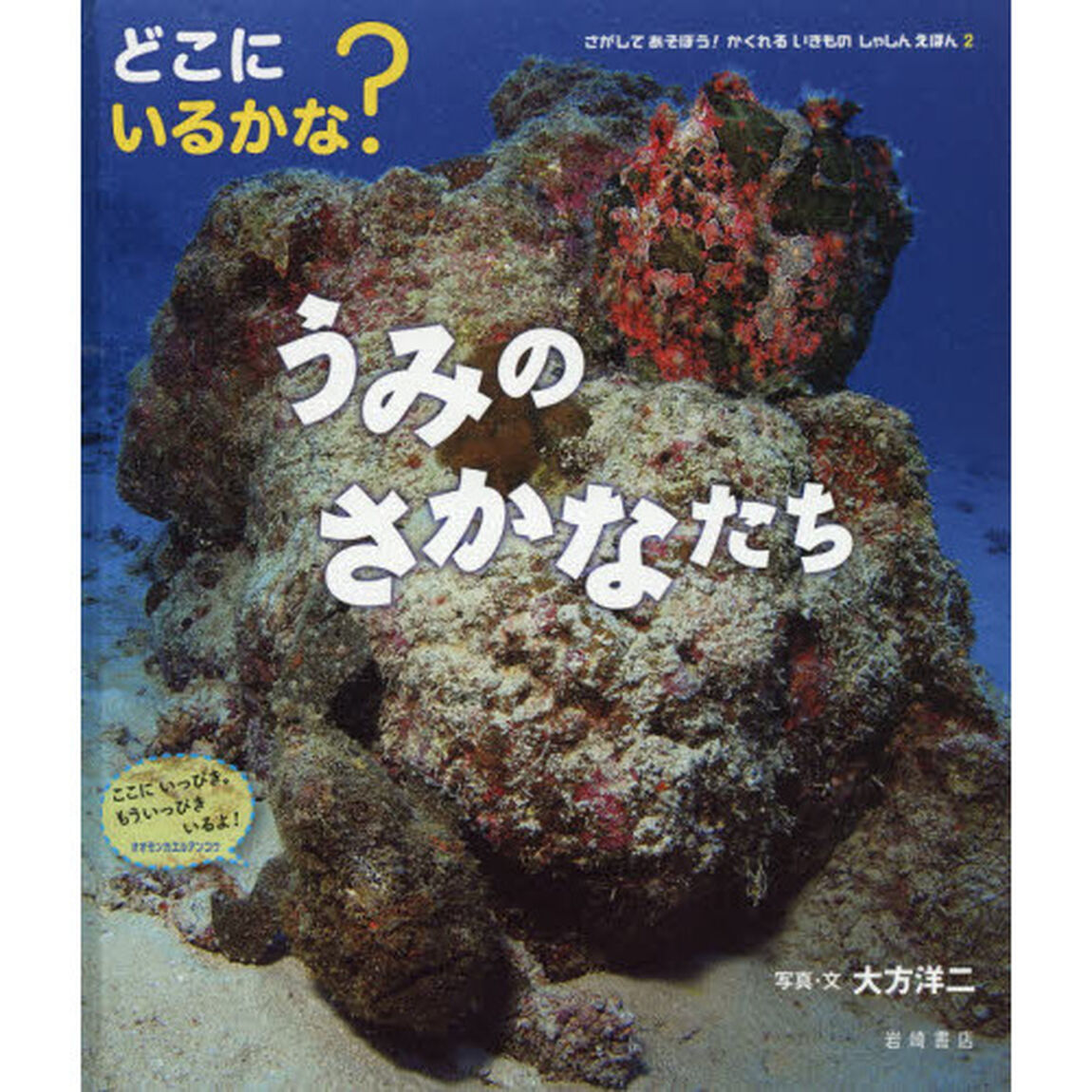 さがしてあそぼう！かくれるいきものしゃしんえほん　２「どこにいるかな？うみのさかなたち」