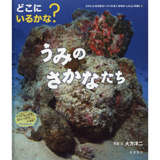 さがしてあそぼう！かくれるいきものしゃしんえほん　２「どこにいるかな？うみのさかなたち」