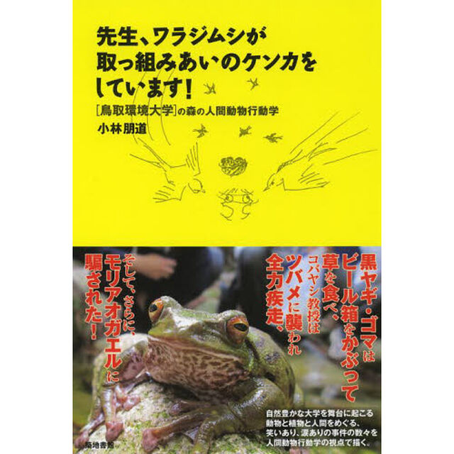 先生、ワラジムシが取っ組みあいのケンカをしています！