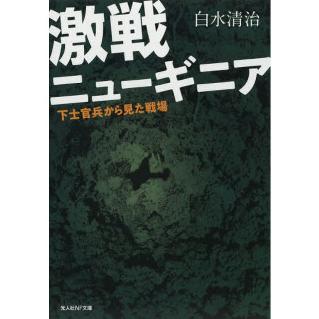 激戦ニューギニア　下士官兵から見た戦場