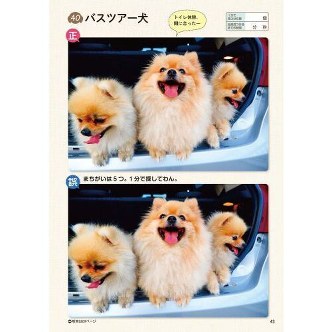 いぬのまちがいさがし　ワン！ミニット１分見るだけ！記憶脳瞬間強化　ポメラニアンてんこ盛りの巻