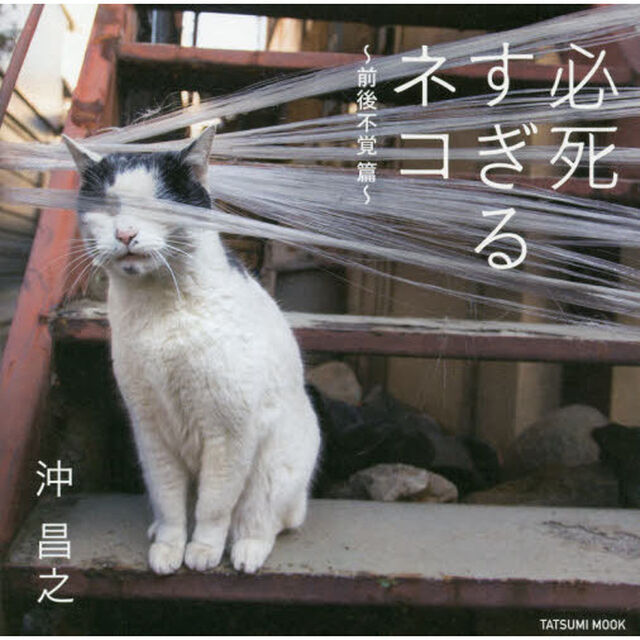 必死すぎるネコ ~前後不覚 篇~ (タツミムック)
