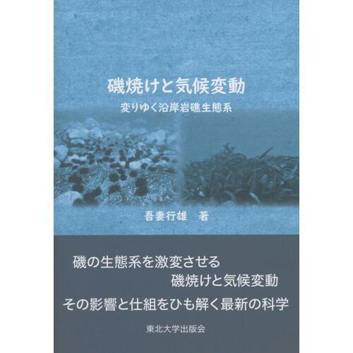 磯焼けと気候変動　変りゆく沿岸岩礁生態系