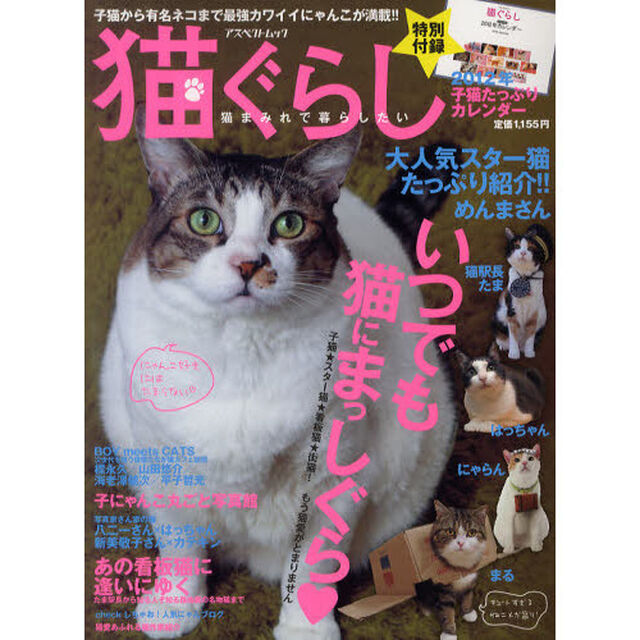 猫ぐらし　いつでも猫にまっしぐら