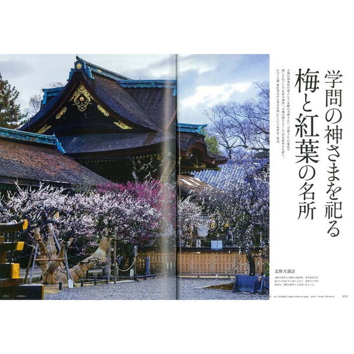 別冊Discover Japan_TRAVEL プレミアム京都案内 (エイムック Discover Japan_TRAVEL)