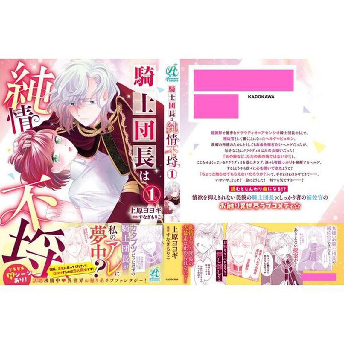 騎士団長は純情不埒　１