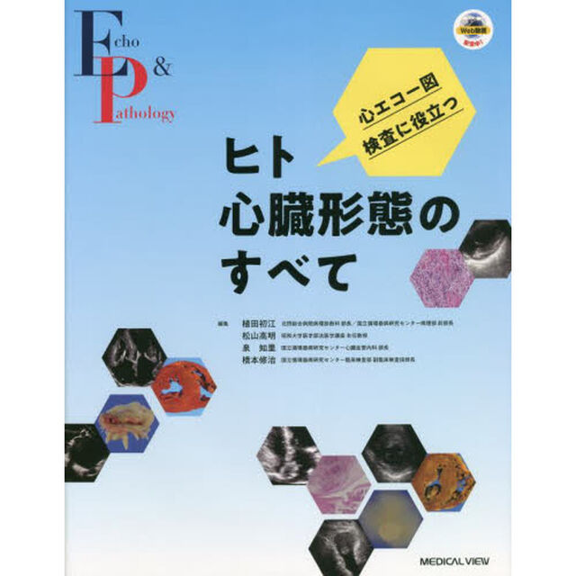 心エコー図検査に役立つヒト心臓形態のすべて