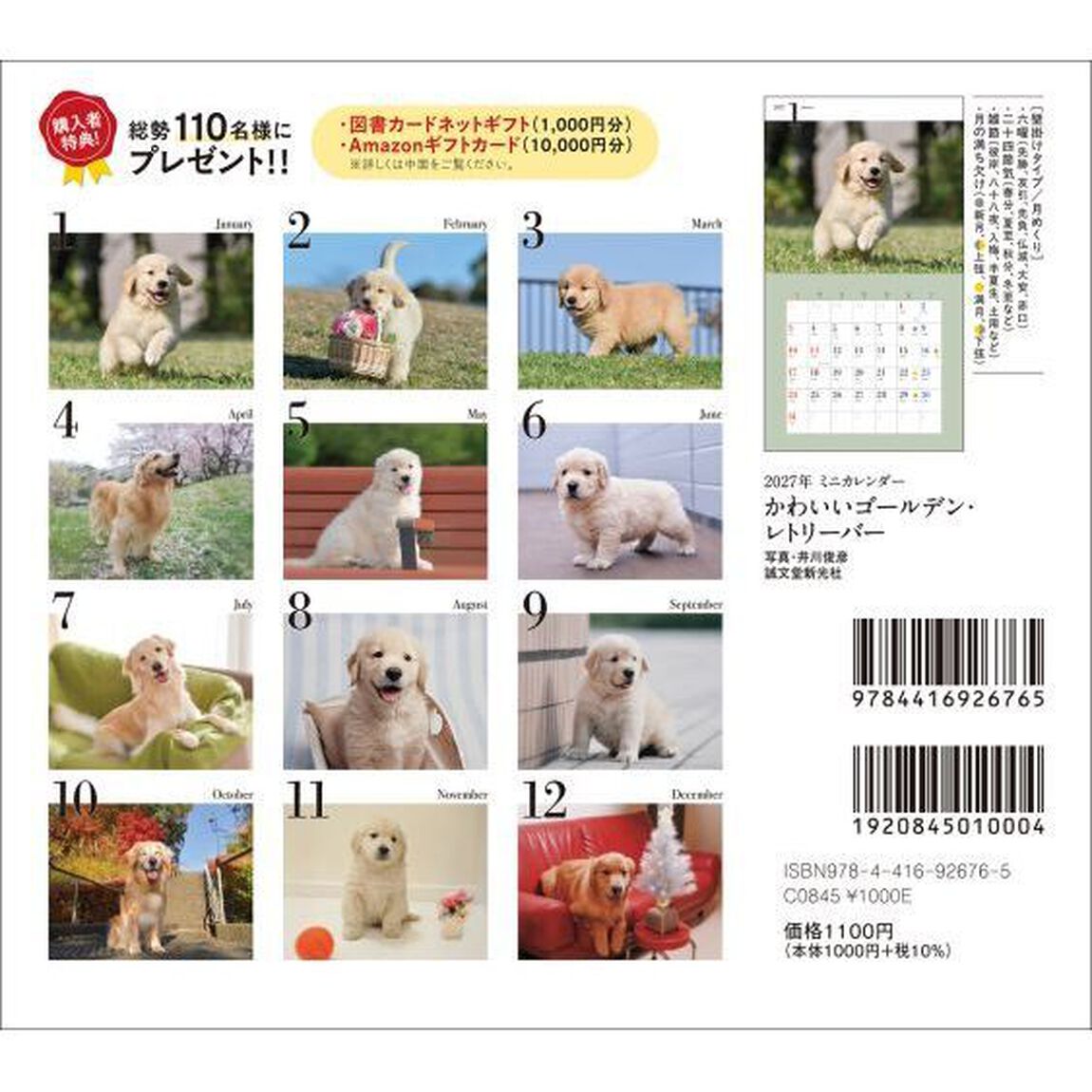 &rsquo;２７　カレンダーかわいいゴールデン・レ