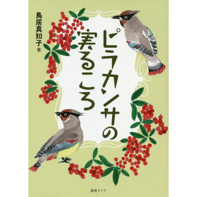 ピラカンサの実るころ