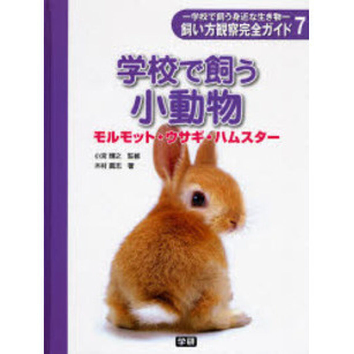 飼い方観察完全ガイド　学校で飼う身近な生き物　７「学校で飼う小動物　モルモット・ウサギ・ハムスター」