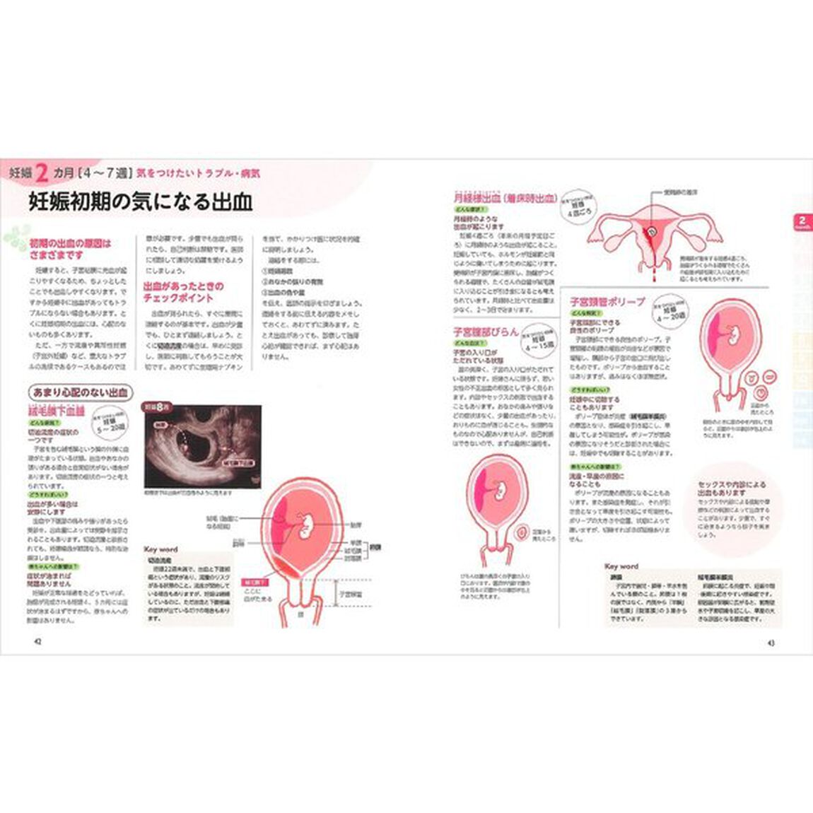 最新！妊娠・出産新百科ｍｉｎｉ　妊娠初期から産後１カ月までこれ１冊でＯＫ！　たまひよ新百科シリーズ