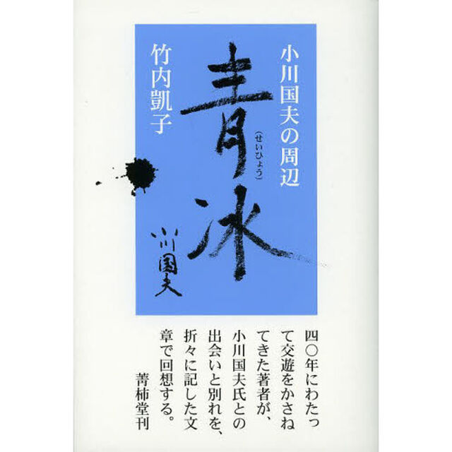 青冰　小川国夫の周辺