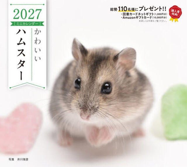 &rsquo;２７　カレンダーかわいいハムスター