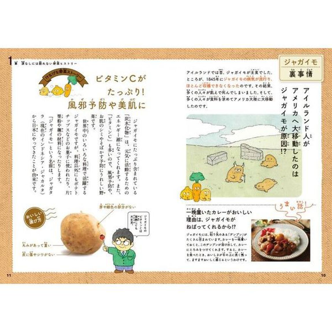 けなげな野菜図鑑