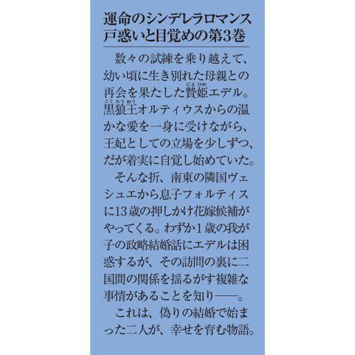 黒狼王と白銀の贄姫　辺境の地で最愛を得る　３