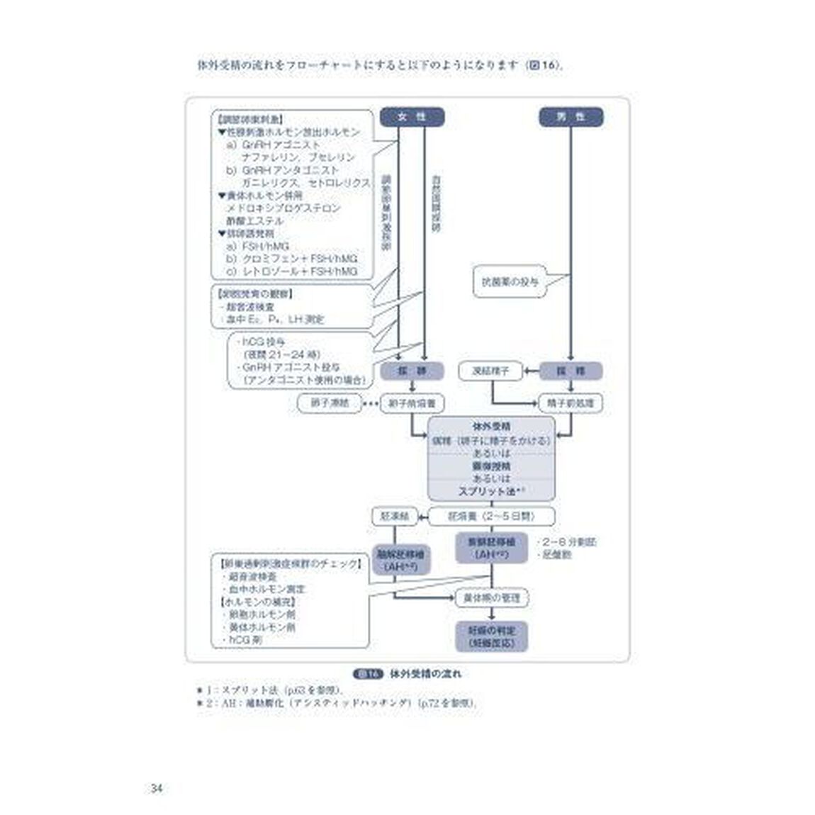 不妊治療・体外受精のすすめ　未来の赤ちゃんに出会うために「改訂４版」