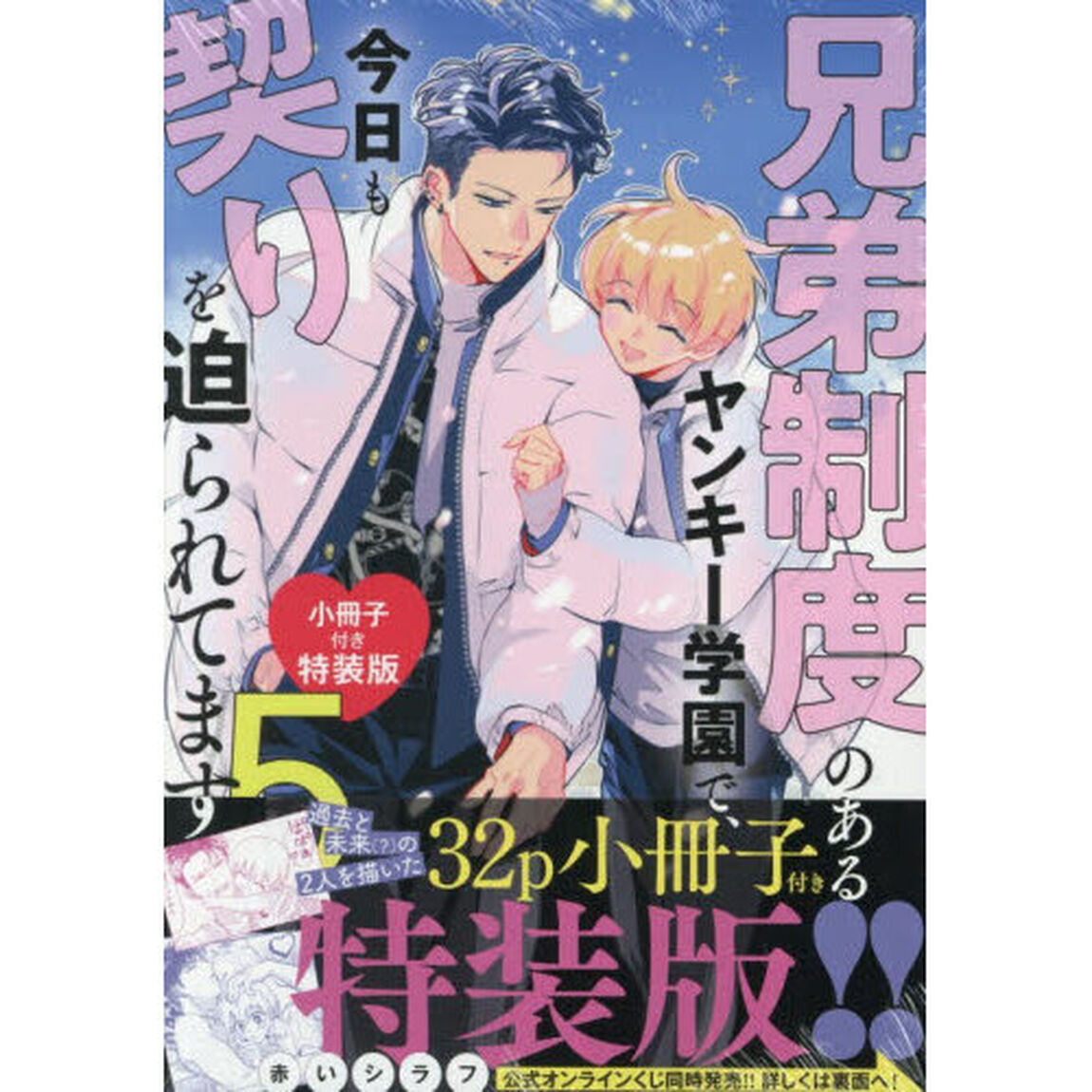 特装版　兄弟制度のあるヤンキー学園で　５