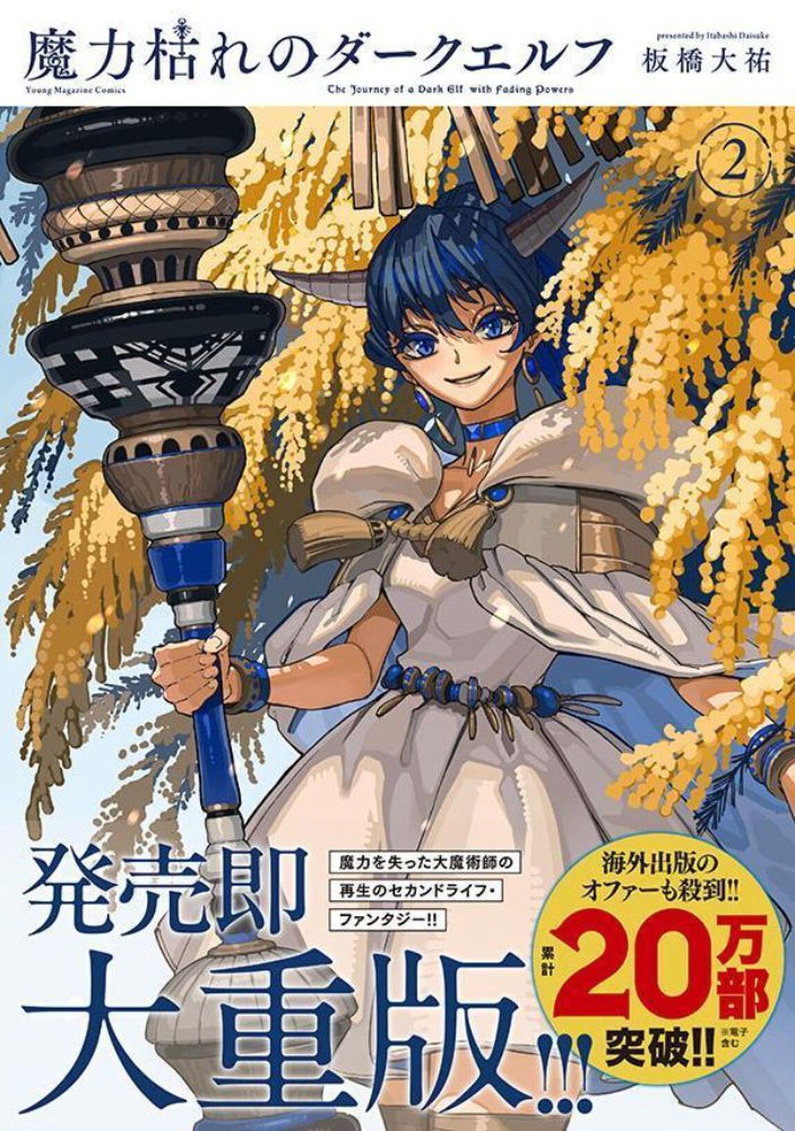 魔力枯れのダークエルフ　２