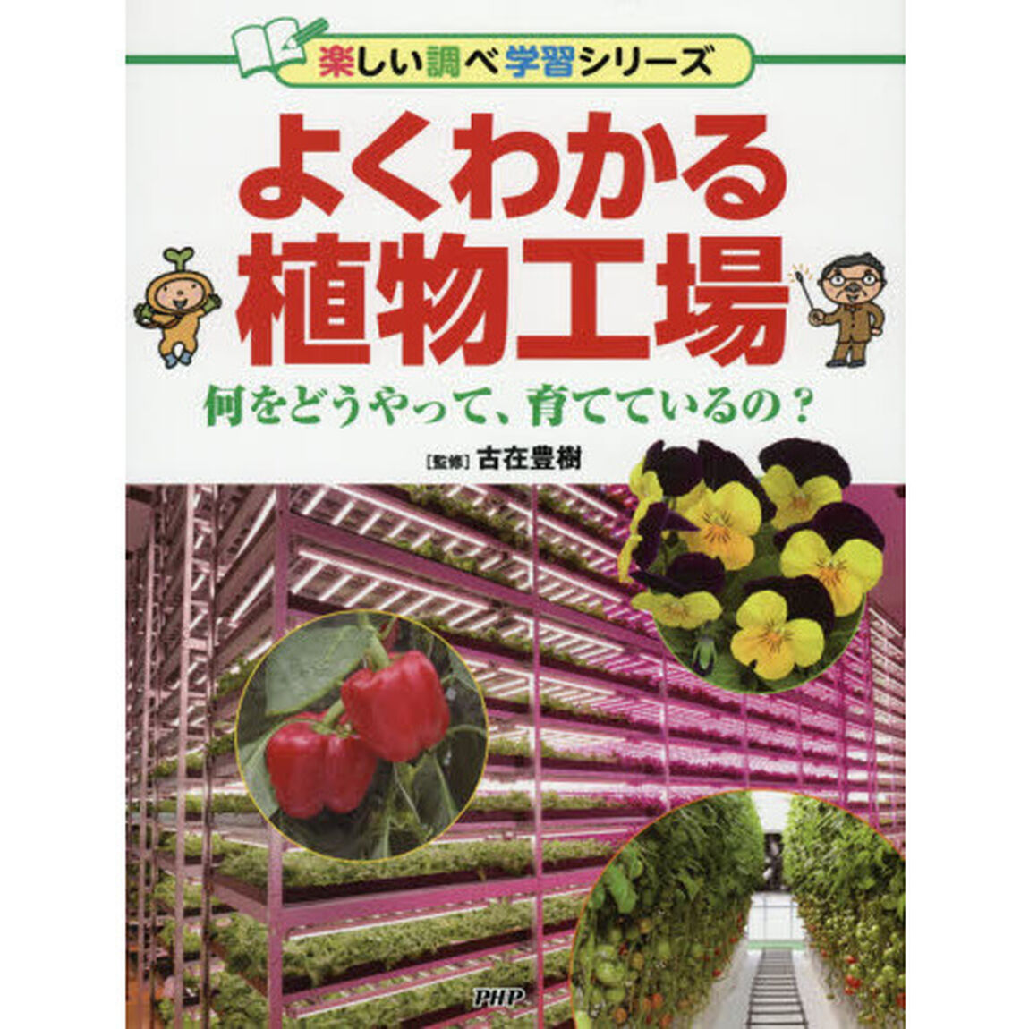 よくわかる植物工場　何をどうやって、育てているの？