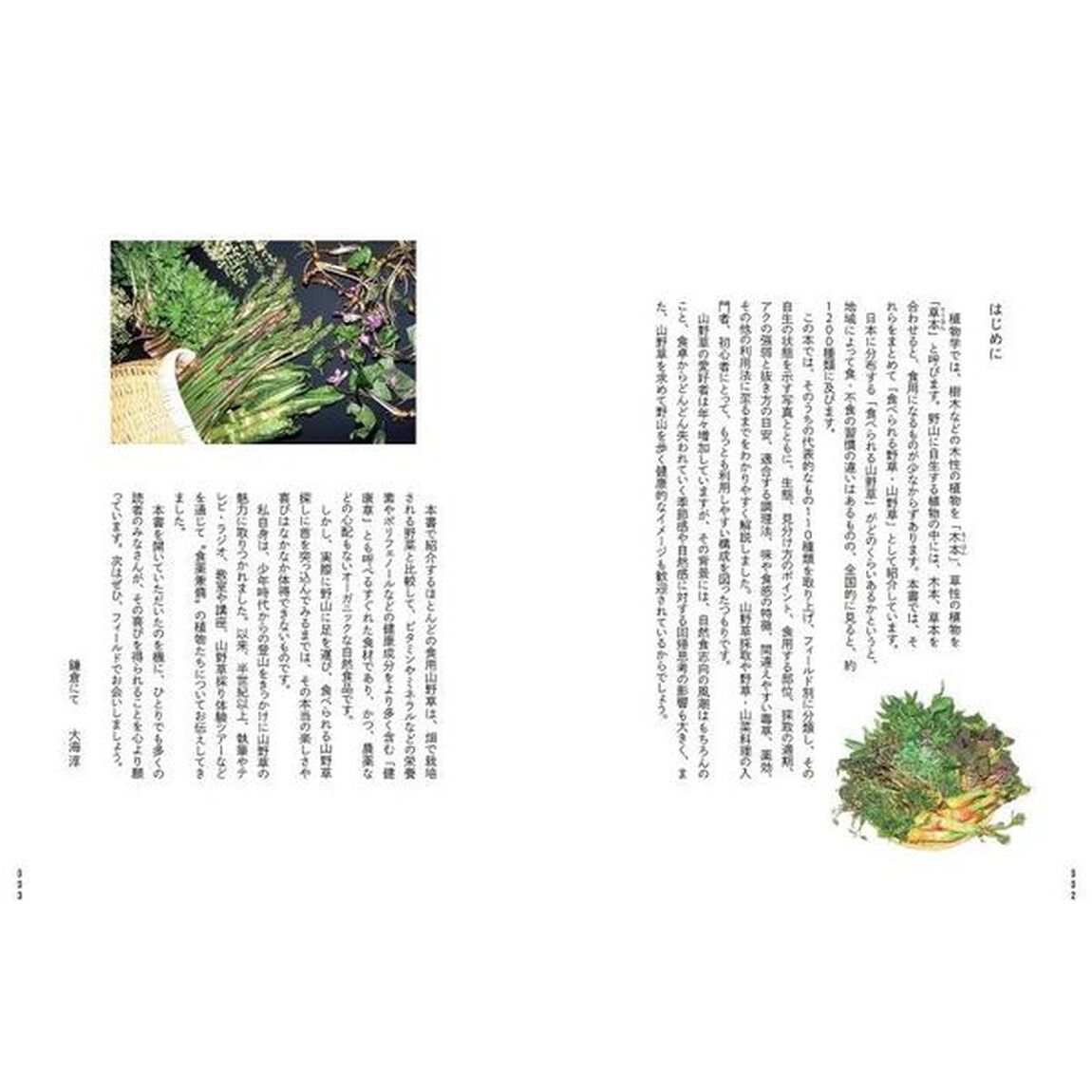 野草をおいしく食べる本 (フィールド別 見分け方、採り方、食べ方 110種)