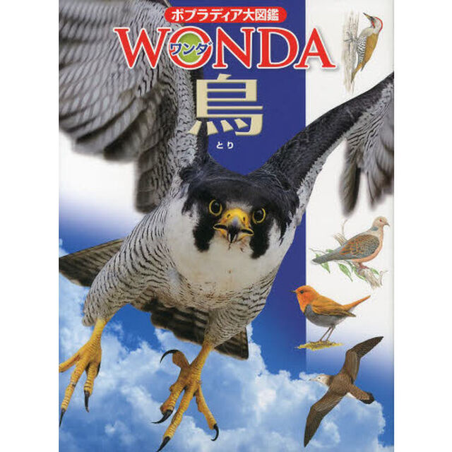 鳥