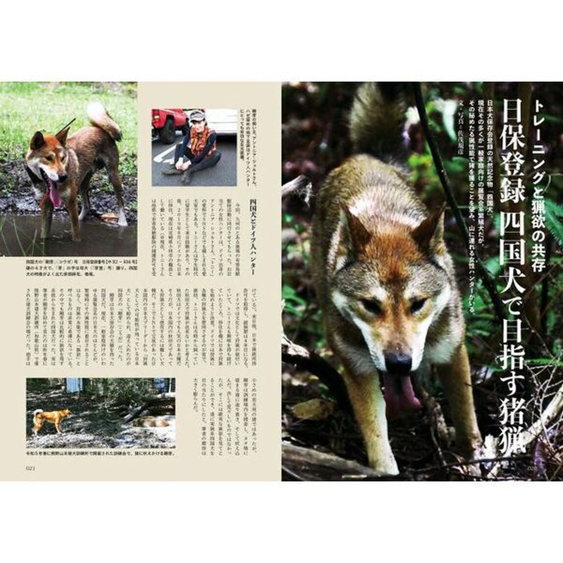 けもの道　狩猟の道を切り開く狩猟人必読の専門誌　２０２４年秋号