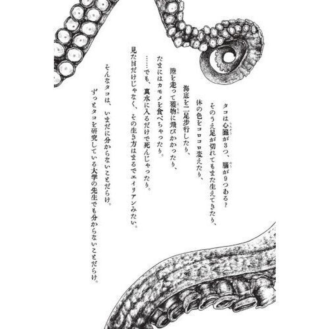 タコのなぞ　「海の賢者」のひみつ８８