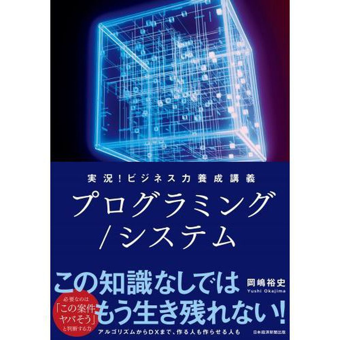実況！ビジネス力養成講義プログラミング／システム