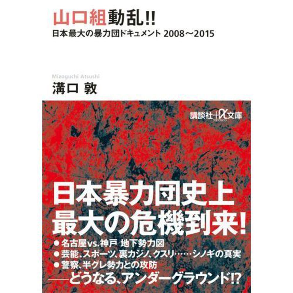 山口組動乱！！　日本最大の暴力団ドキュメント２００８〜２０１５