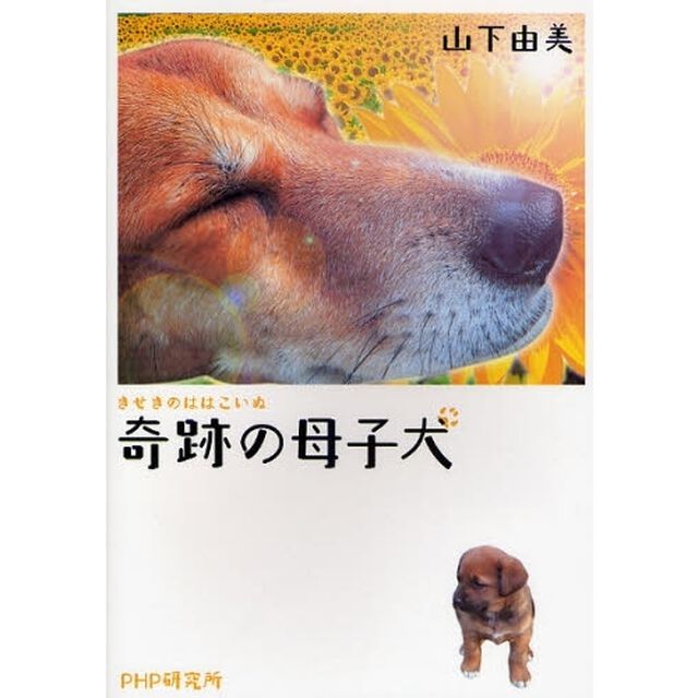 奇跡の母子犬
