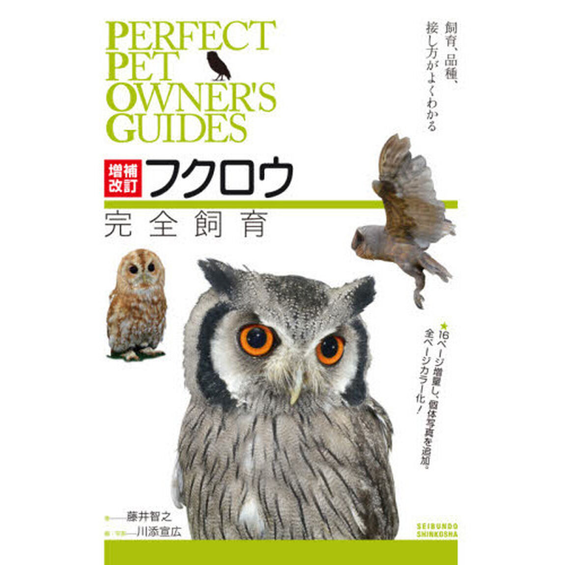フクロウ完全飼育　飼育、品種、接し方がよくわかる「増補改訂」