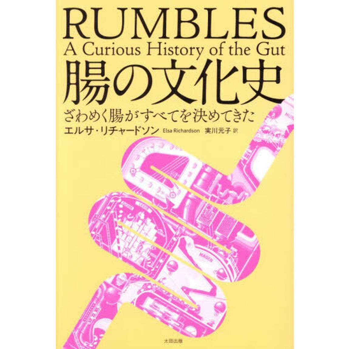 腸の文化史　ざわめく腸がすべてを決めてきた
