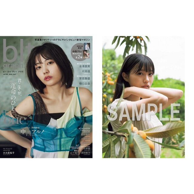 blt graph.vol.103【セブンネット限定特典：金澤亜美（僕が見たかった青空）ポストカード 1枚付き】