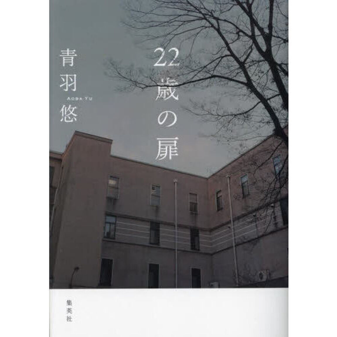 ２２歳の扉