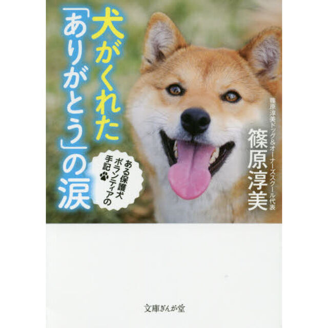 犬がくれた「ありがとう」の涙　ある保護犬ボランティアの手記