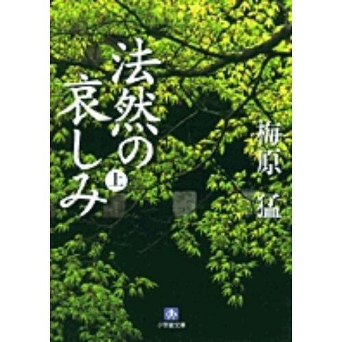 法然の哀しみ　上