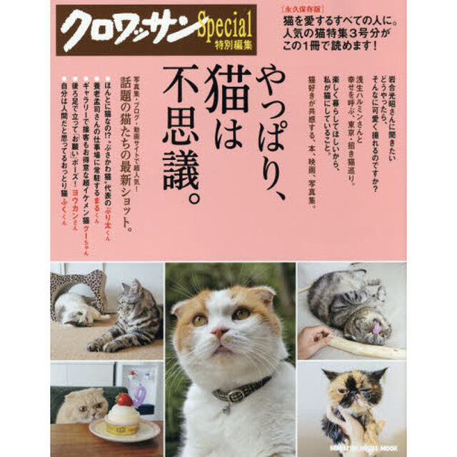 やっぱり、猫は不思議。　永久保存版