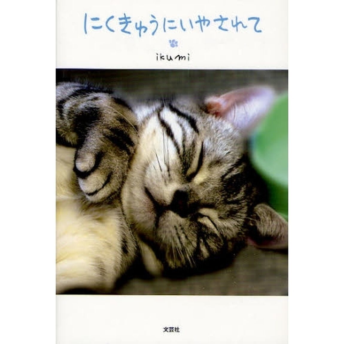 にくきゅうにいやされて