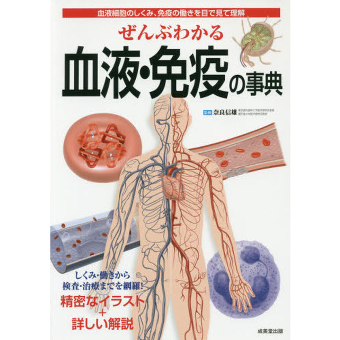 ぜんぶわかる血液・免疫の事典
