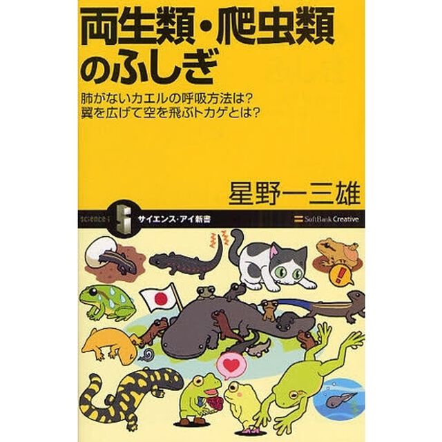 両生類・爬虫類のふしぎ　肺がないカエルの呼吸方法は？翼を広げて空を飛ぶトカゲとは？