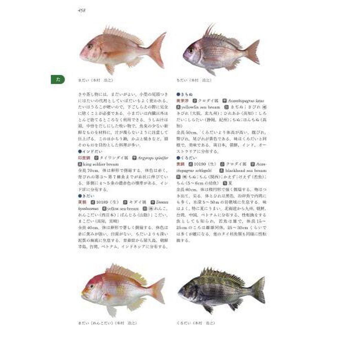 日本食品大事典「新版　第２版」