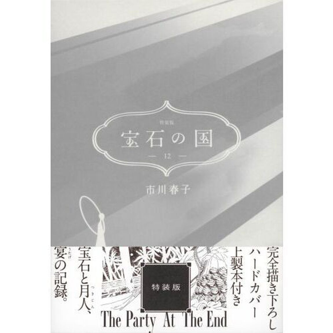 宝石の国（１２）特装版