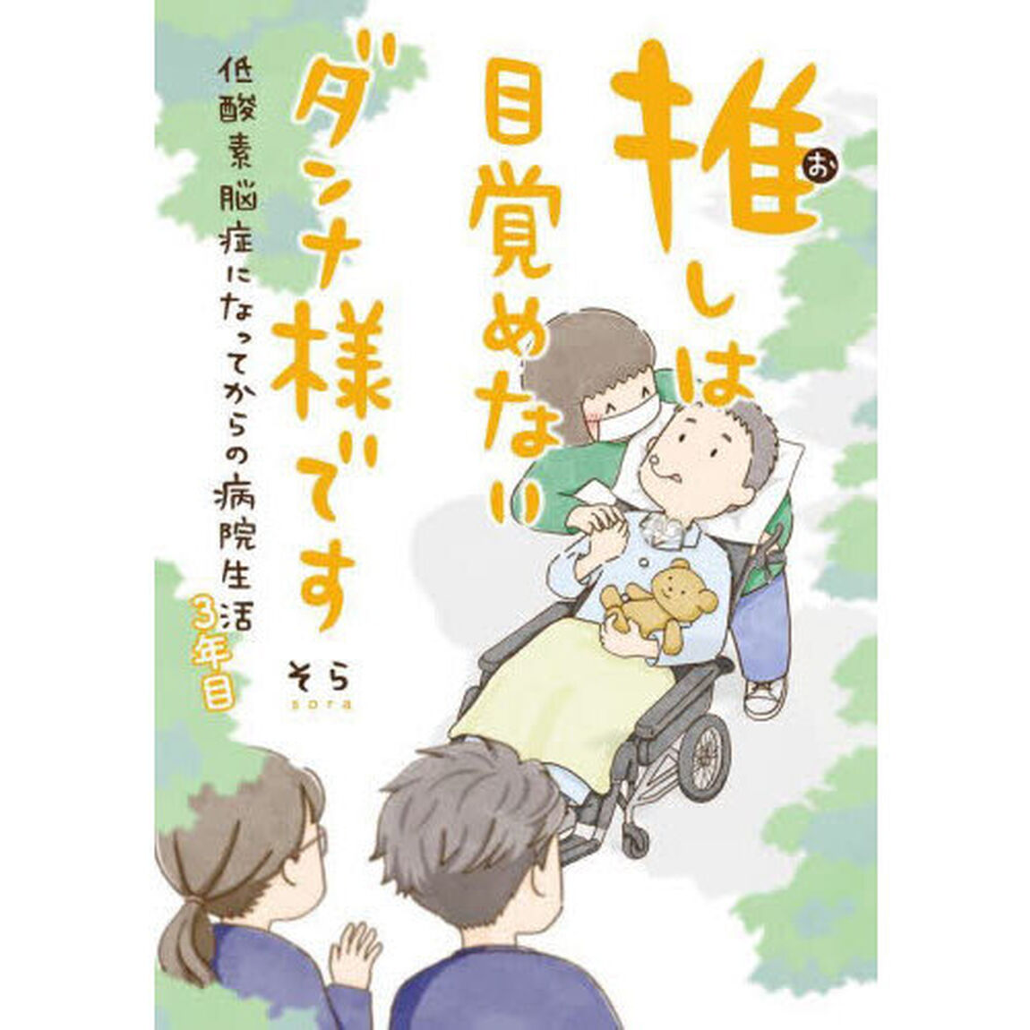 推しは目覚めないダンナ様です　低酸素脳症になってからの病院生活　３年目