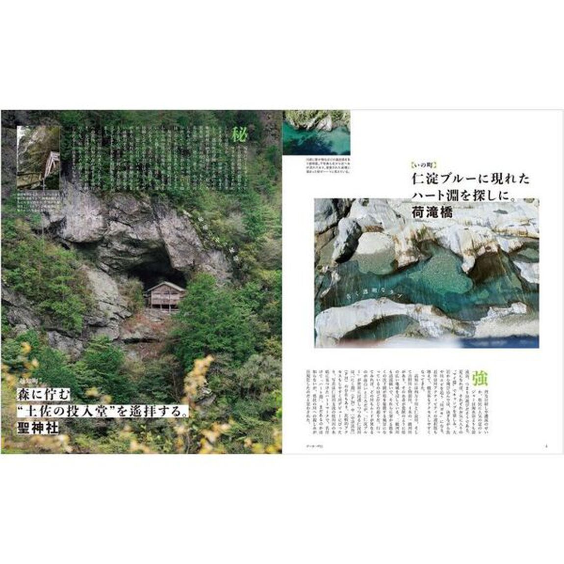 高知　〔２０２４〕