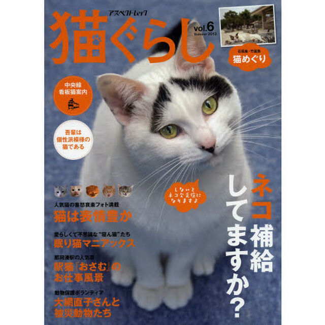 猫ぐらし　ｖｏｌ．６（２０１３Ｓｕｍｍｅｒ）「ネコ補給してますか？」